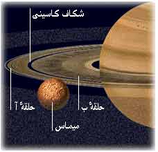 img/daneshnameh_up/0/03//Shekafekasini.jpg